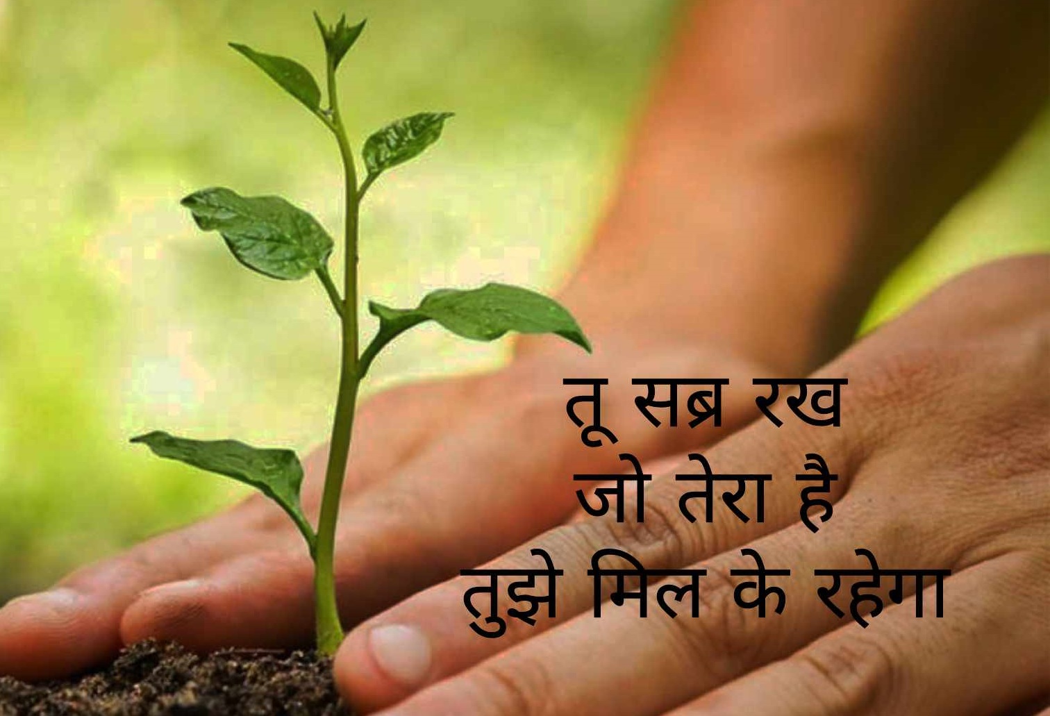 motivational quotes in hindi 