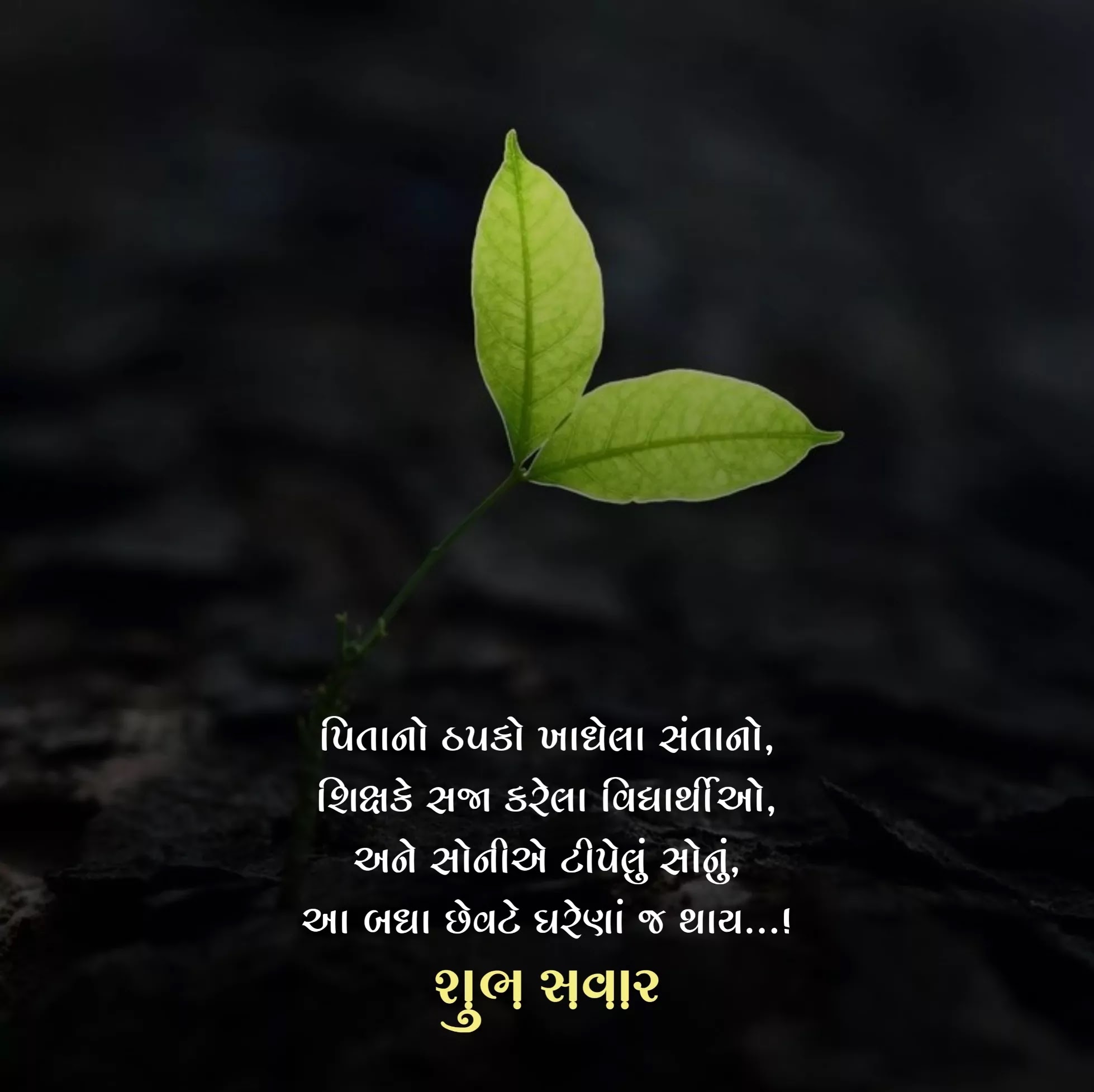 suvichar gujarati